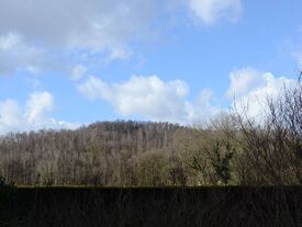 Vu sur le terril côté Râches.